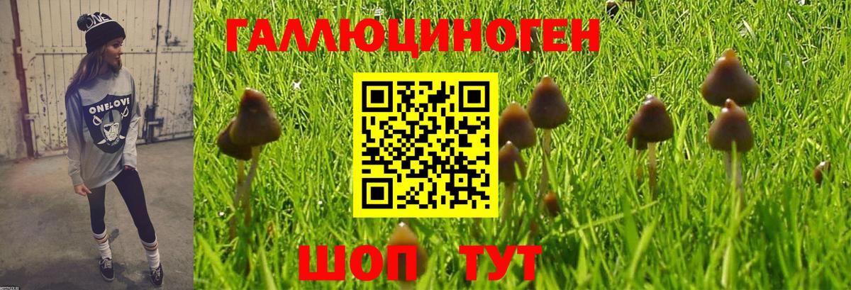 Псилоцибиновые грибы Magic Shrooms  Вход с VPN  Гусиноозёрск 